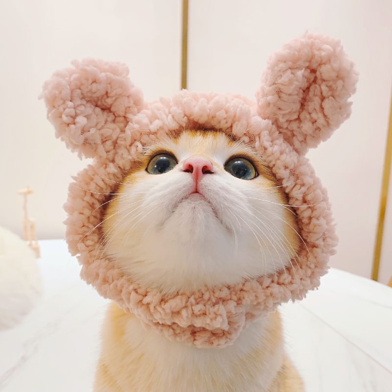 tanvtim - Animal Ear Chenille Pet Hat (verschillende ontwerpen)