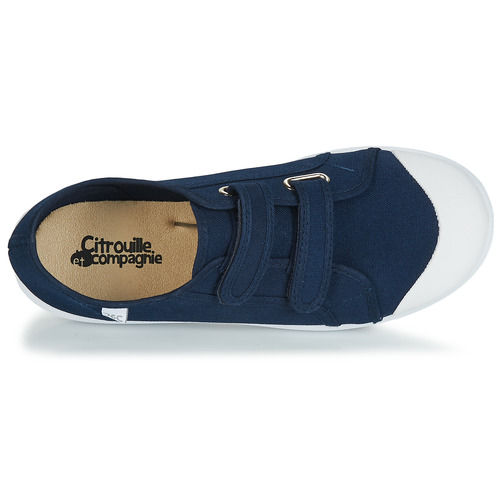 Citrouille et Compagnie - GLASSIA - Marine