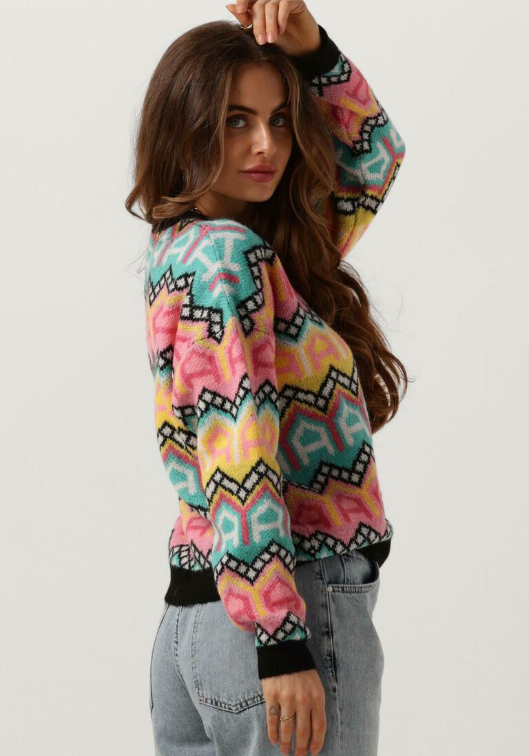 ALIX THE LABEL multi alix the label trui ladies knitted multi colour pullover
