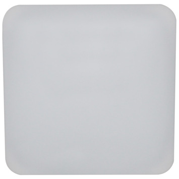 GAMMA plafondlamp Savannah Led 12W warm wit