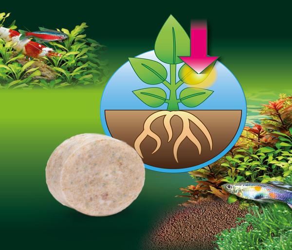 JBL Düngetabletten für Wasserpflanzen