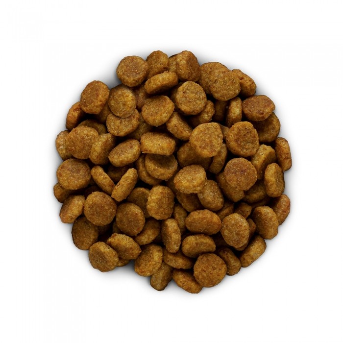 HILL'S Prescription Diet Derm Defense au Poulet - Croquettes pour chien