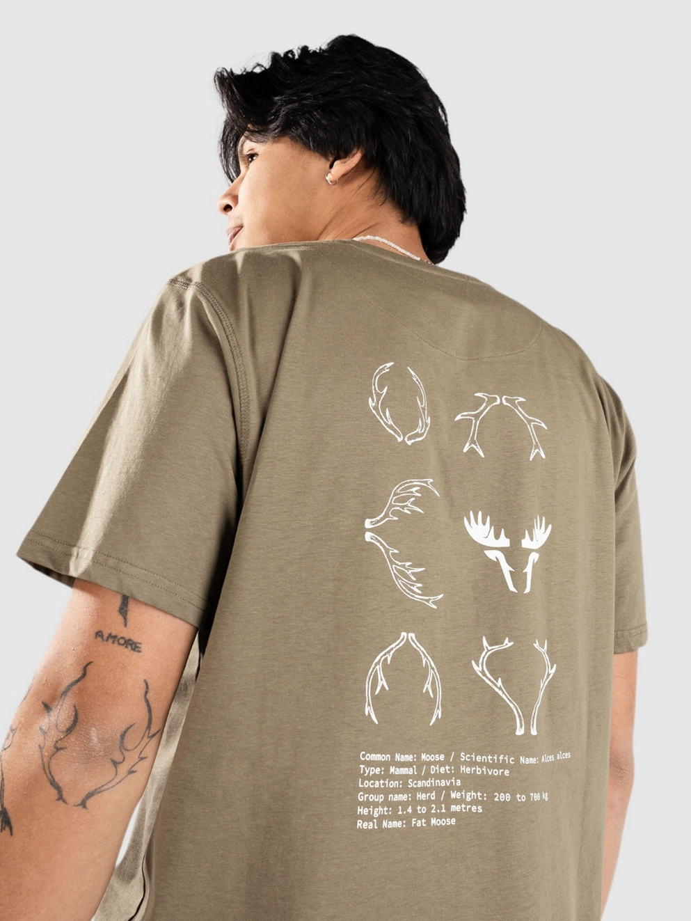Fat Moose Ian T-Shirt dusty green