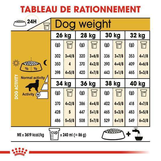 Croquettes chien Golden Retriever Adulte plus de 15 mois 12kg
