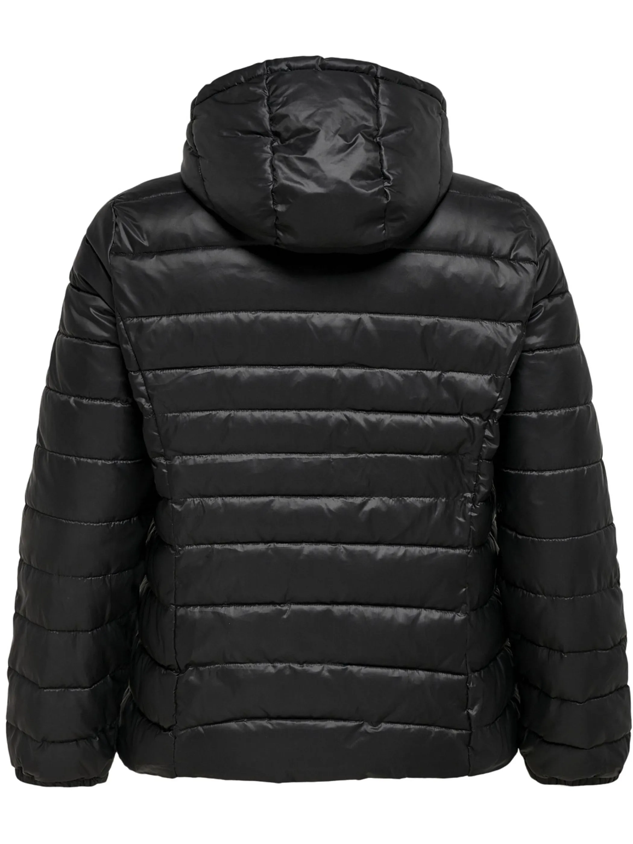 Only Carmakoma CARTAHOE HOOD JACKET Steppjacke