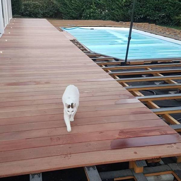 Pack complet 40m² lame de terrasse cumaru lx1850mm avec lambourde, vis, cale de ventilation, plot pvc et bande bitumineuse
