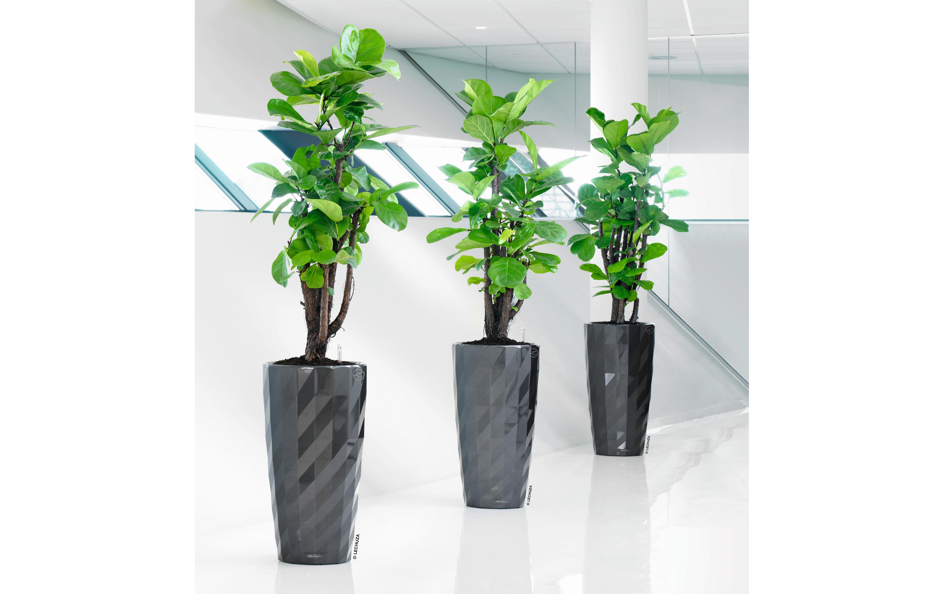 Blumentopf Diamante Premium 40, Anthrazit<br>Pflanzentopf