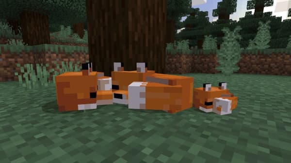 Minecraft - Starter Edition (PS4)