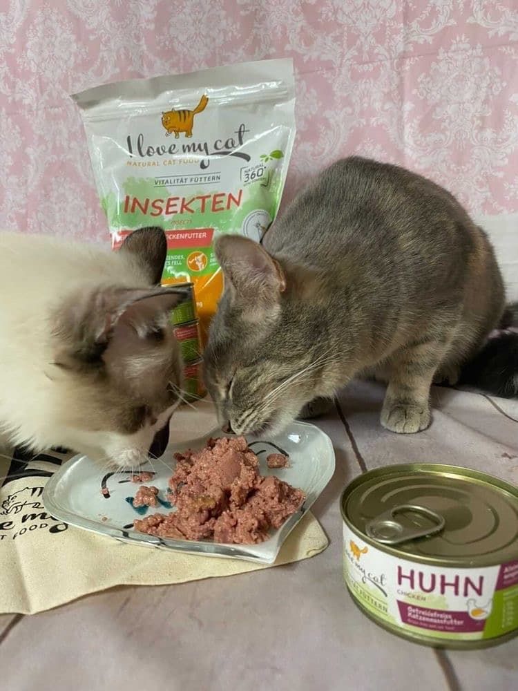 I love my cat Katzenfutter Nass mit Huhn