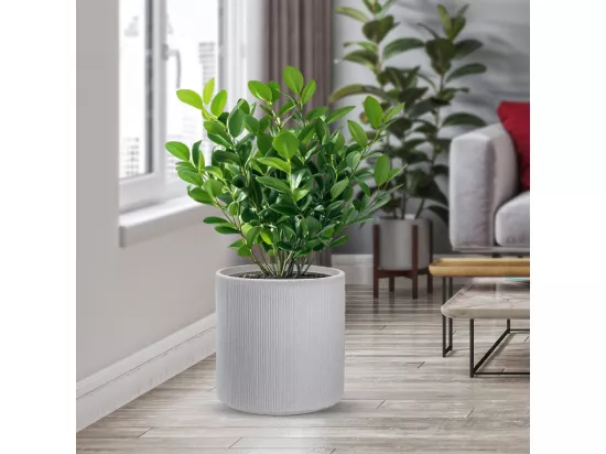 Vase en résine pour plantes d'intérieur et d'extérieur, design cylindrique rond d.36x35h Modigliani Beige