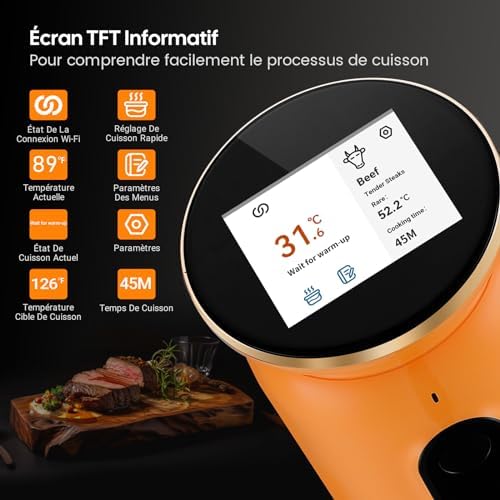 INKBIRD WiFi Thermoplongeur Sous Vide ISV 101W, Cuisson Basse Température 1000W: Écran TFT, Cuisson De Réservation App, Protection Du Niveau D'eau, Avertissement De Température, 0℃~95℃, Réglable 0,1℃ : Cuisine et Maison