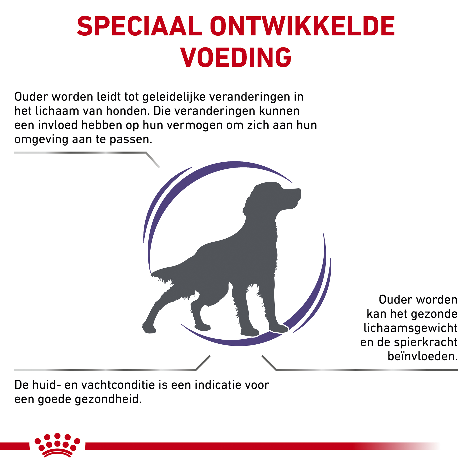 Royal Canin VCN - Mature Consult Medium Dog