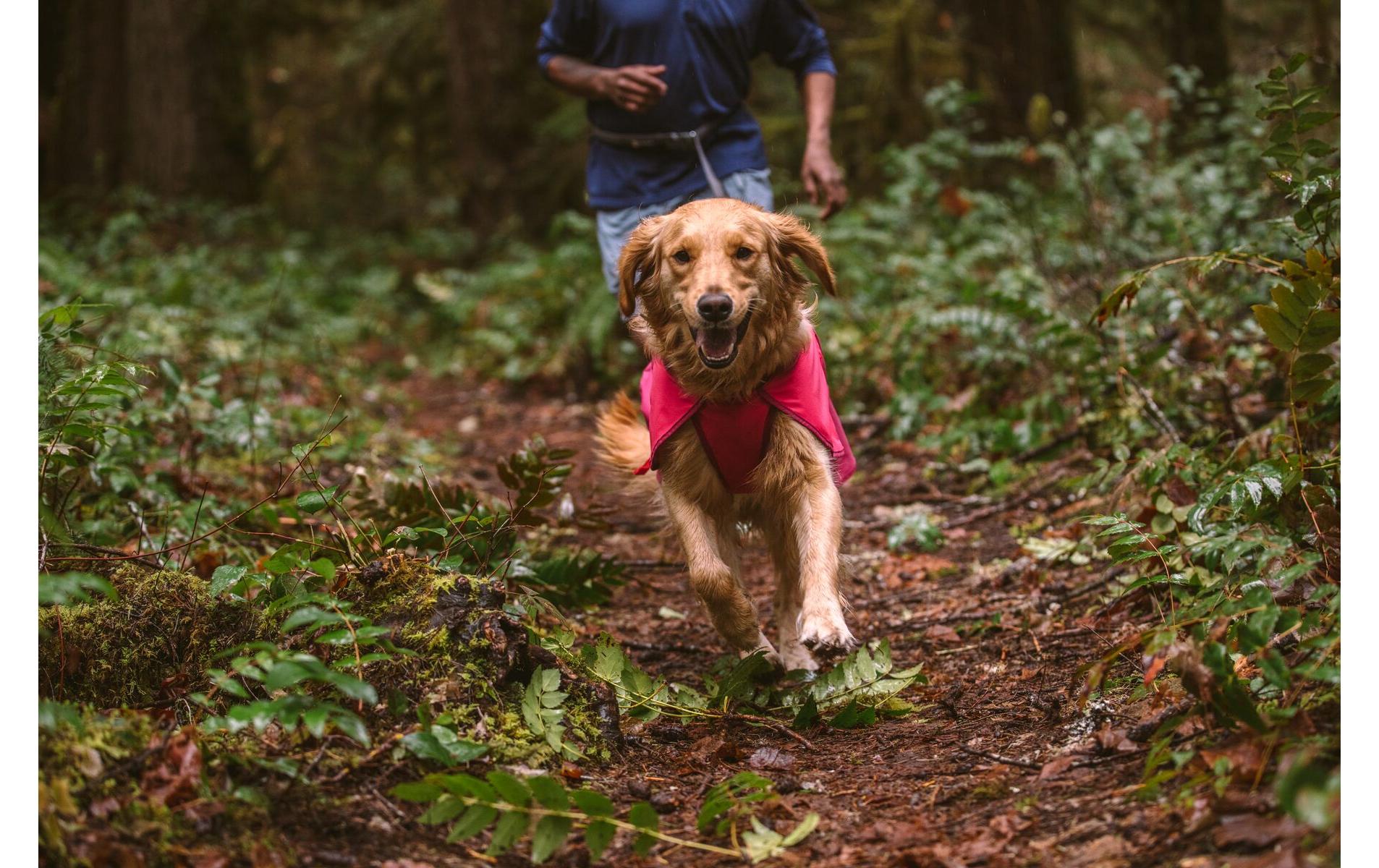 Regenmantel Sun Shower, XXS, Hibiscus PinkRegenjacke für Hunde