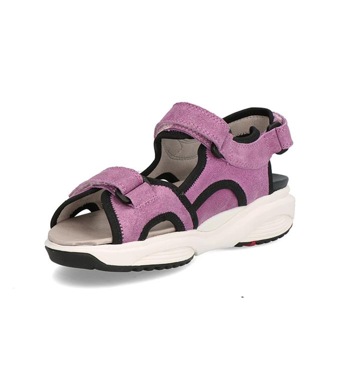 Xsensible 30299.5 wijdte H Lilac