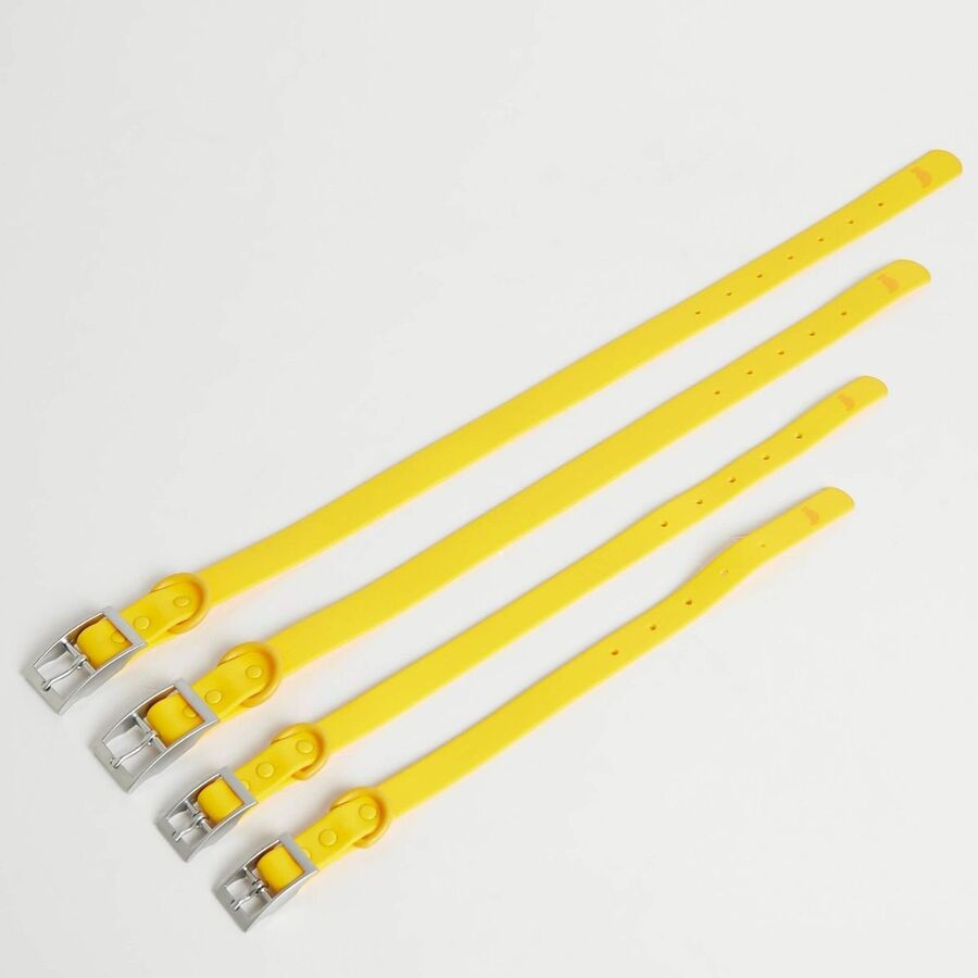 Colarinho de rosa