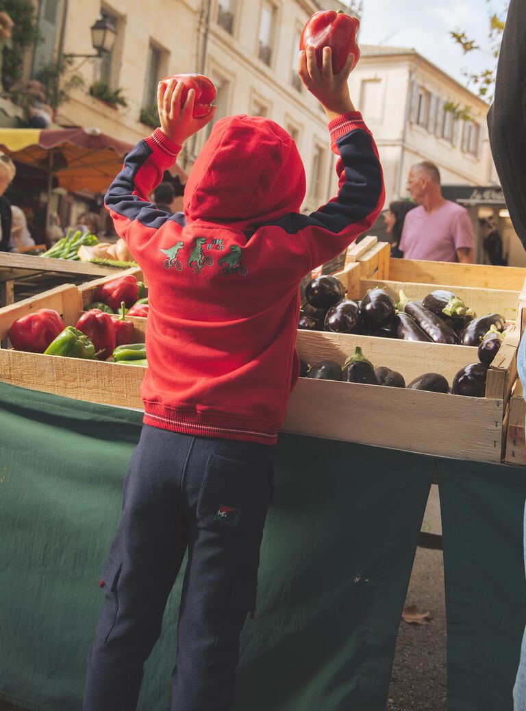 Sweat à capuche bicolore rouge et bleu marine
