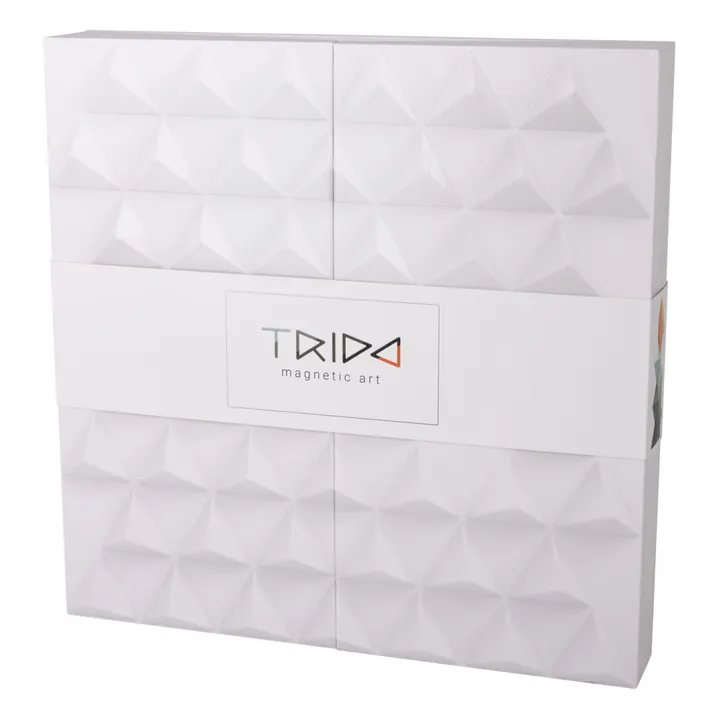 Trido Jeu de construction magnétique Greyscale - Set de 36 pièces