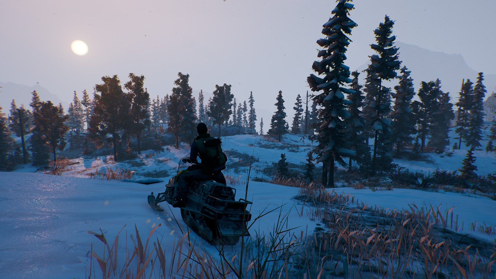 Open Country- PC