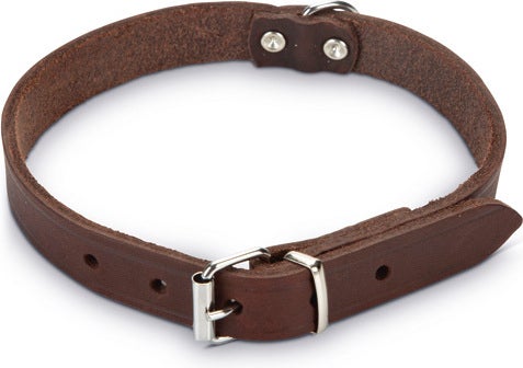 Beeztees hondenhalsband bruin 52 x 2 cm