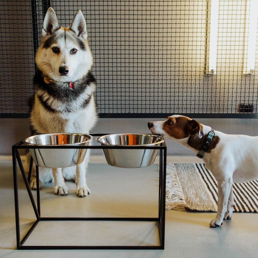 Yumi - set 2 gamelles surélevées grand chien, socle design noir, 21x42,5x30,5cm