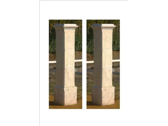 Lot de 2 piliers de portail 