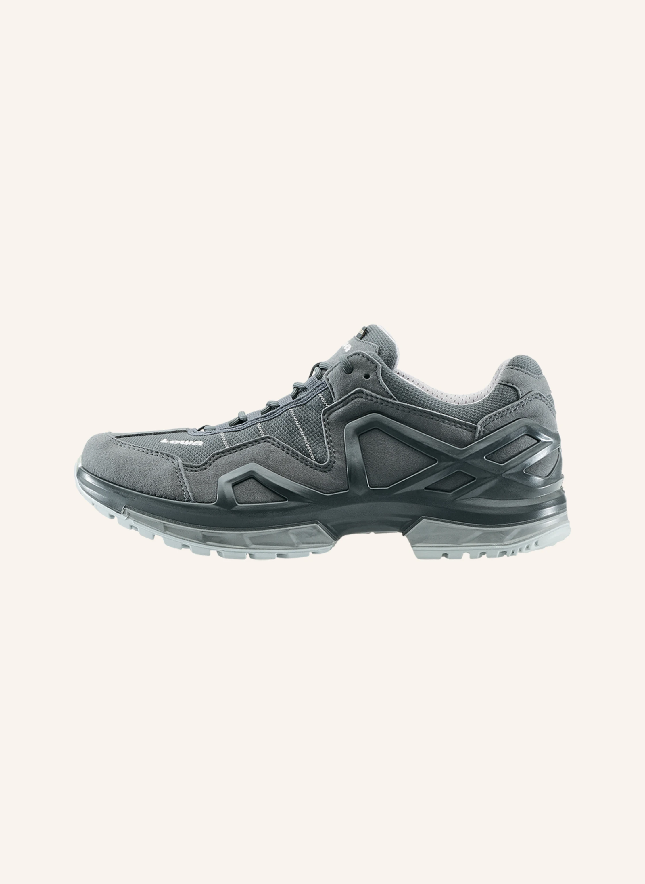 LOWA Multifunktionsschuhe GORGON GTX