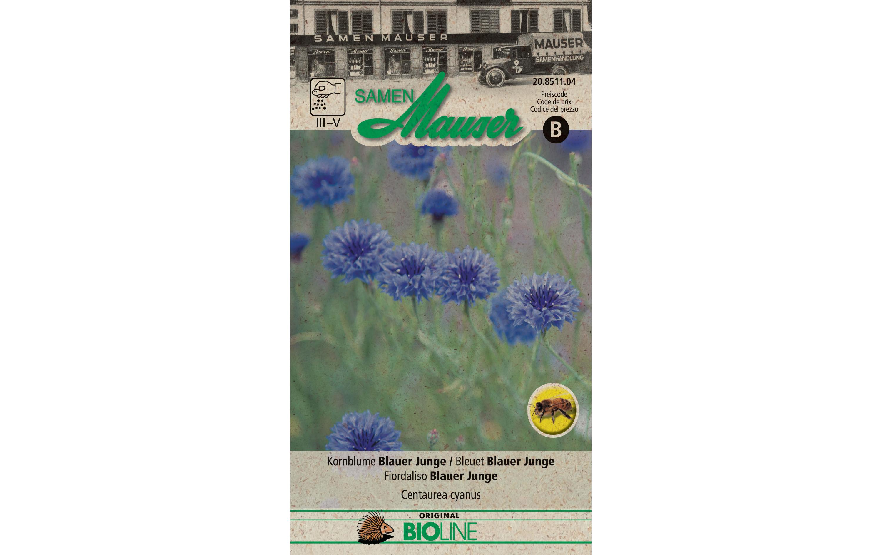 Saatgut Kornblume Blauer JungeBlumensamen