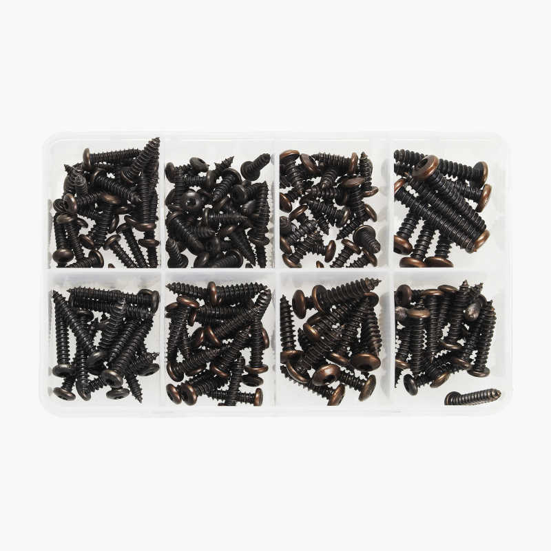 PLATESKUSETT TORX 170 STK