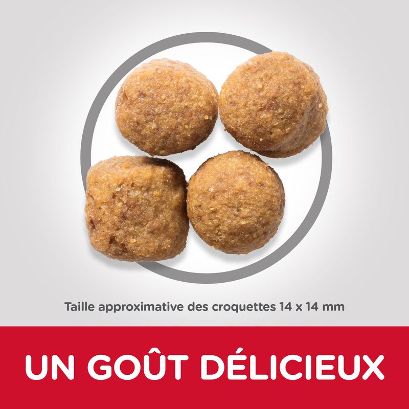 Hill's Science Plan Adult 1-5 Large poulet - bitiba.fr