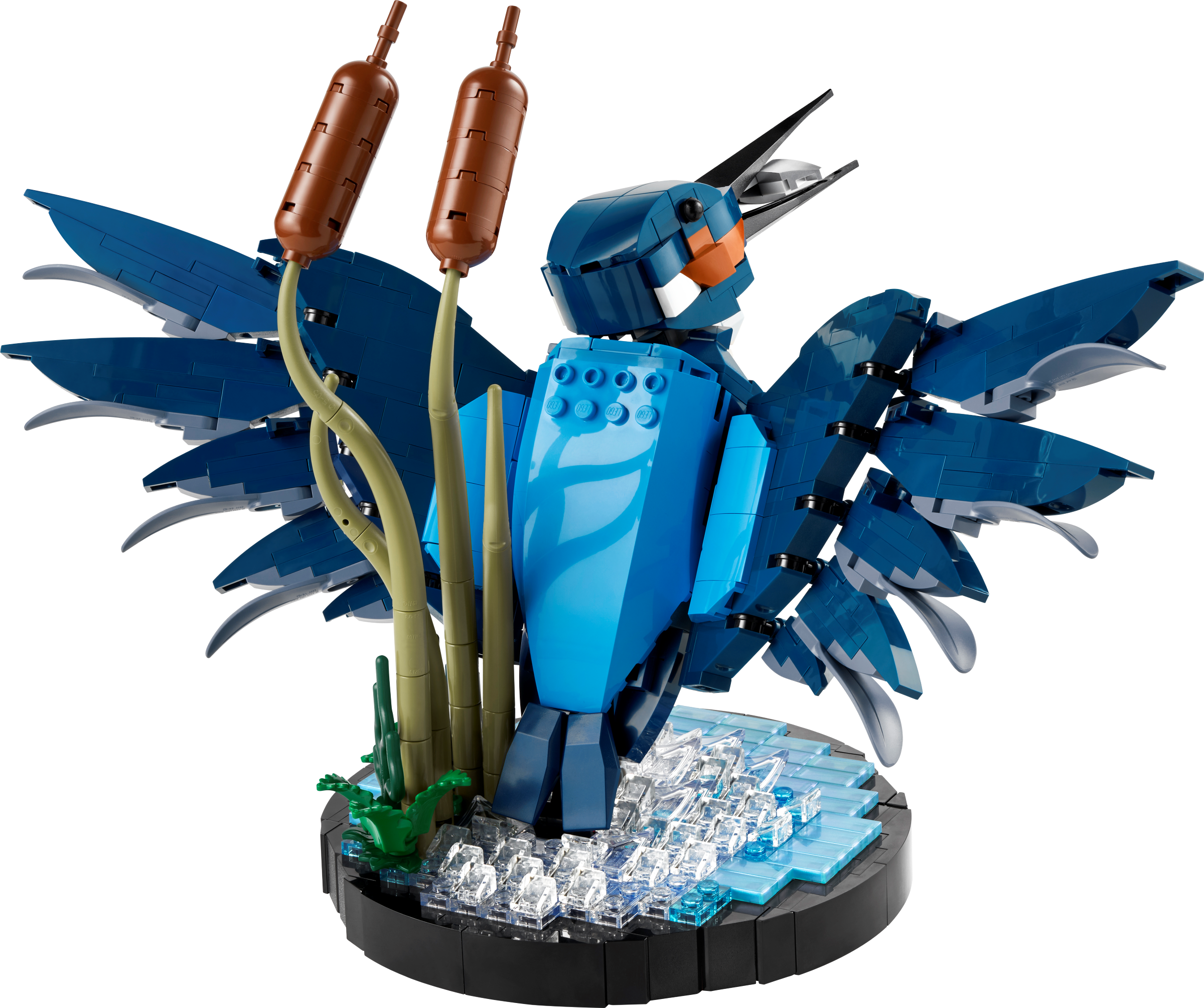 O martim-pescador 10331