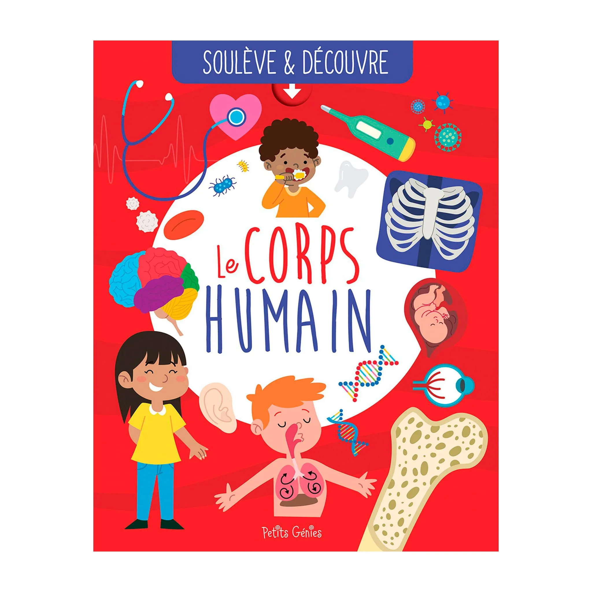 Prologue Le Corps Humain
