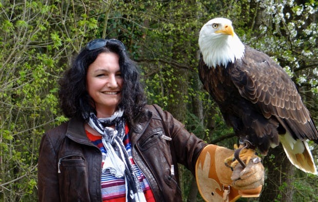 Falkner für einen Tag Greifvogel