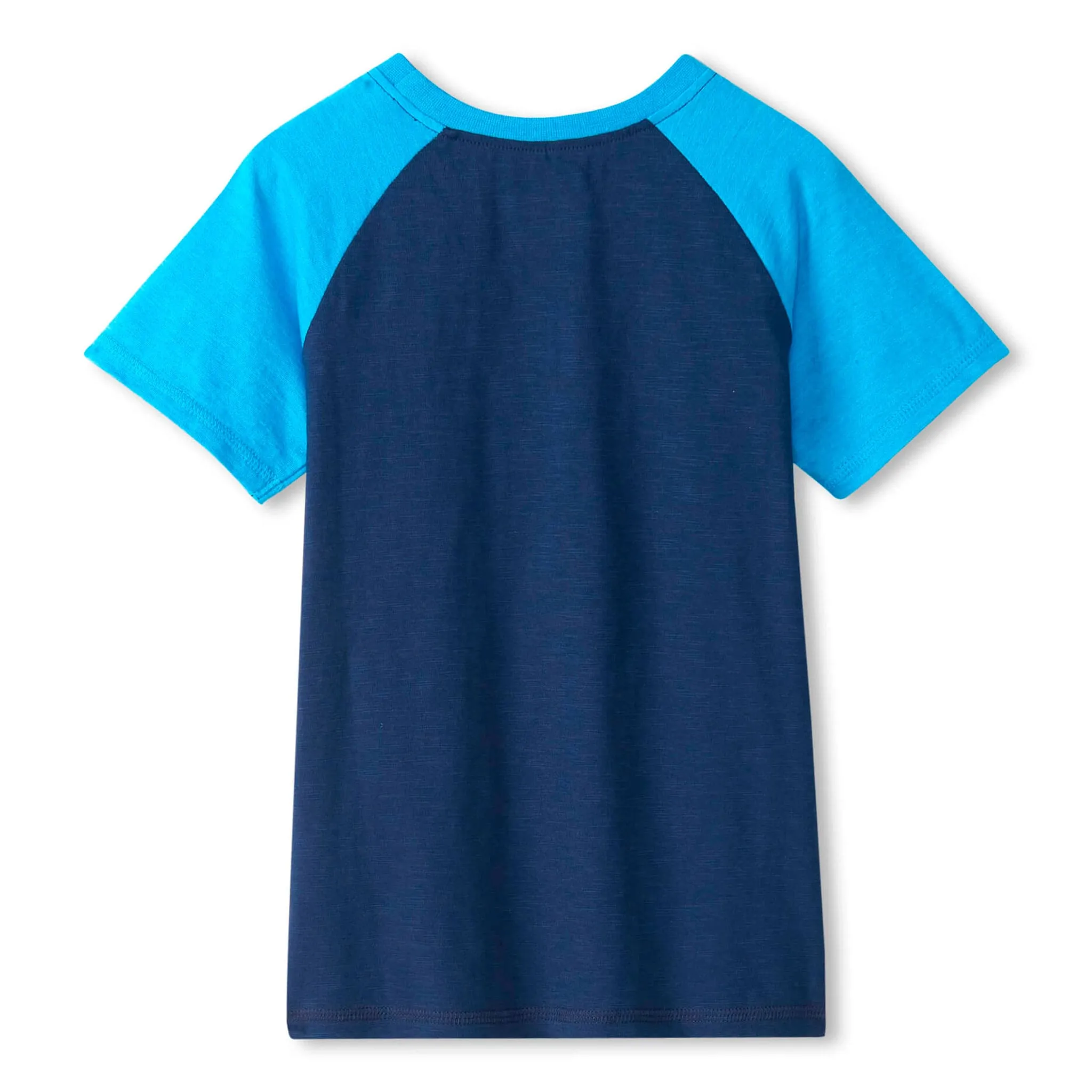 Hatley T-Shirt Raglan Requin 2-8ans