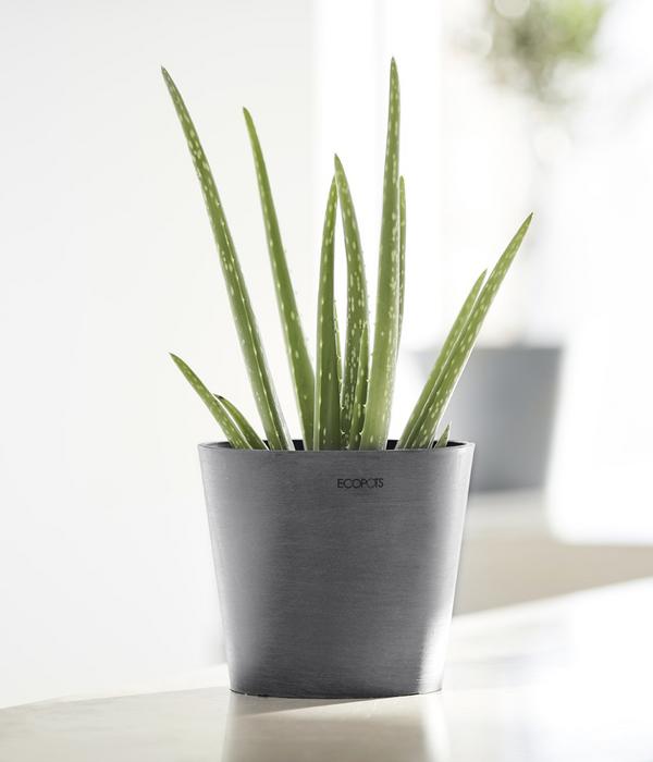Ecopots Kunststoff-Topf Amsterdam Mini, rund,