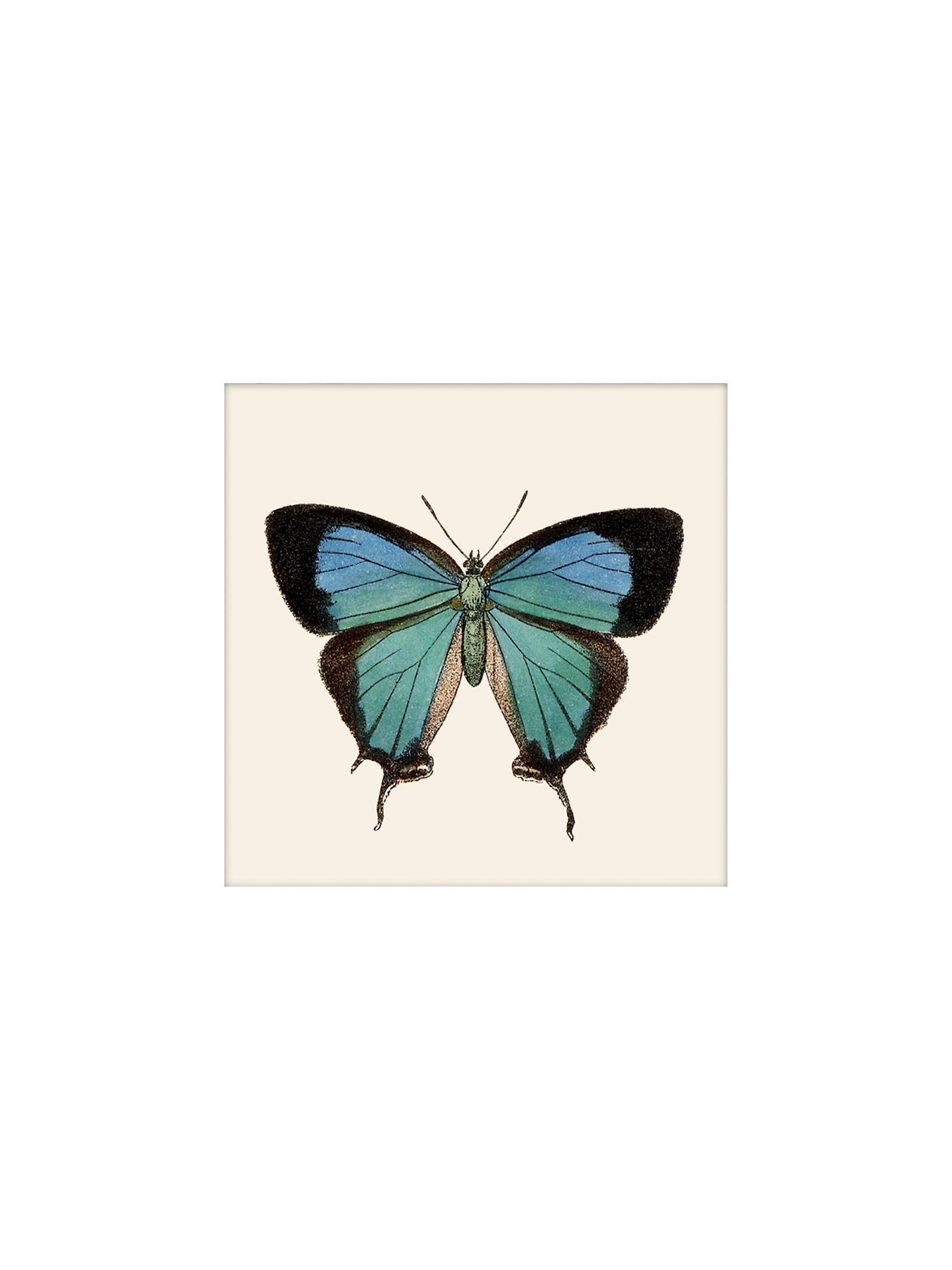 Plakat 24 x 24 | Papir. 24 x 24 cm.  | Multi | The Dybdahl Co.