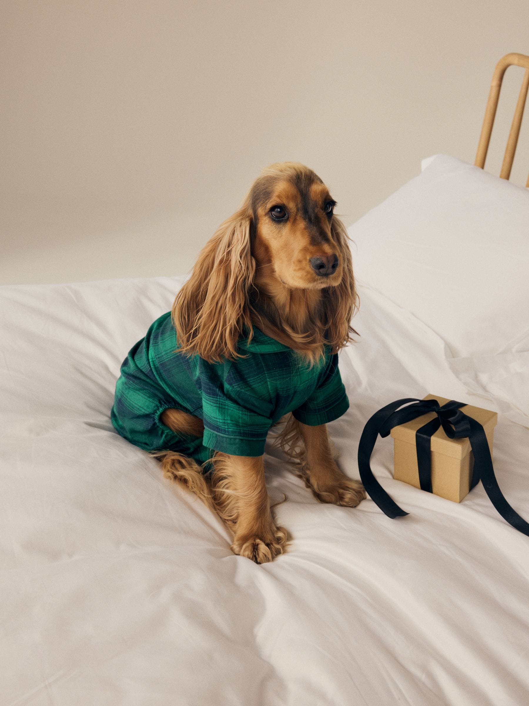 Groen/marineblauw Ruit - Matching Family hondenpyjama van 100% katoen