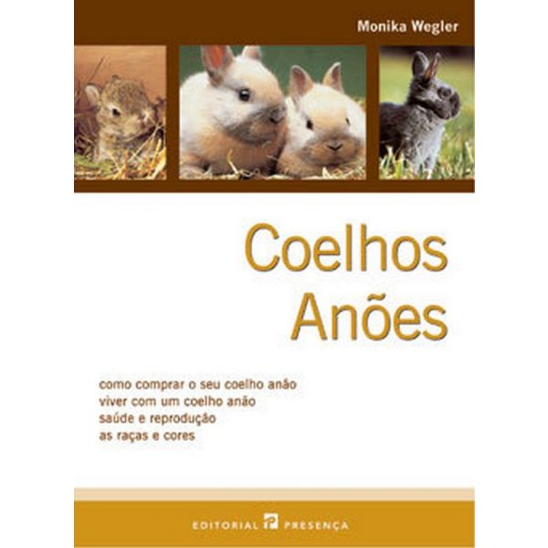 Coelhos Anões