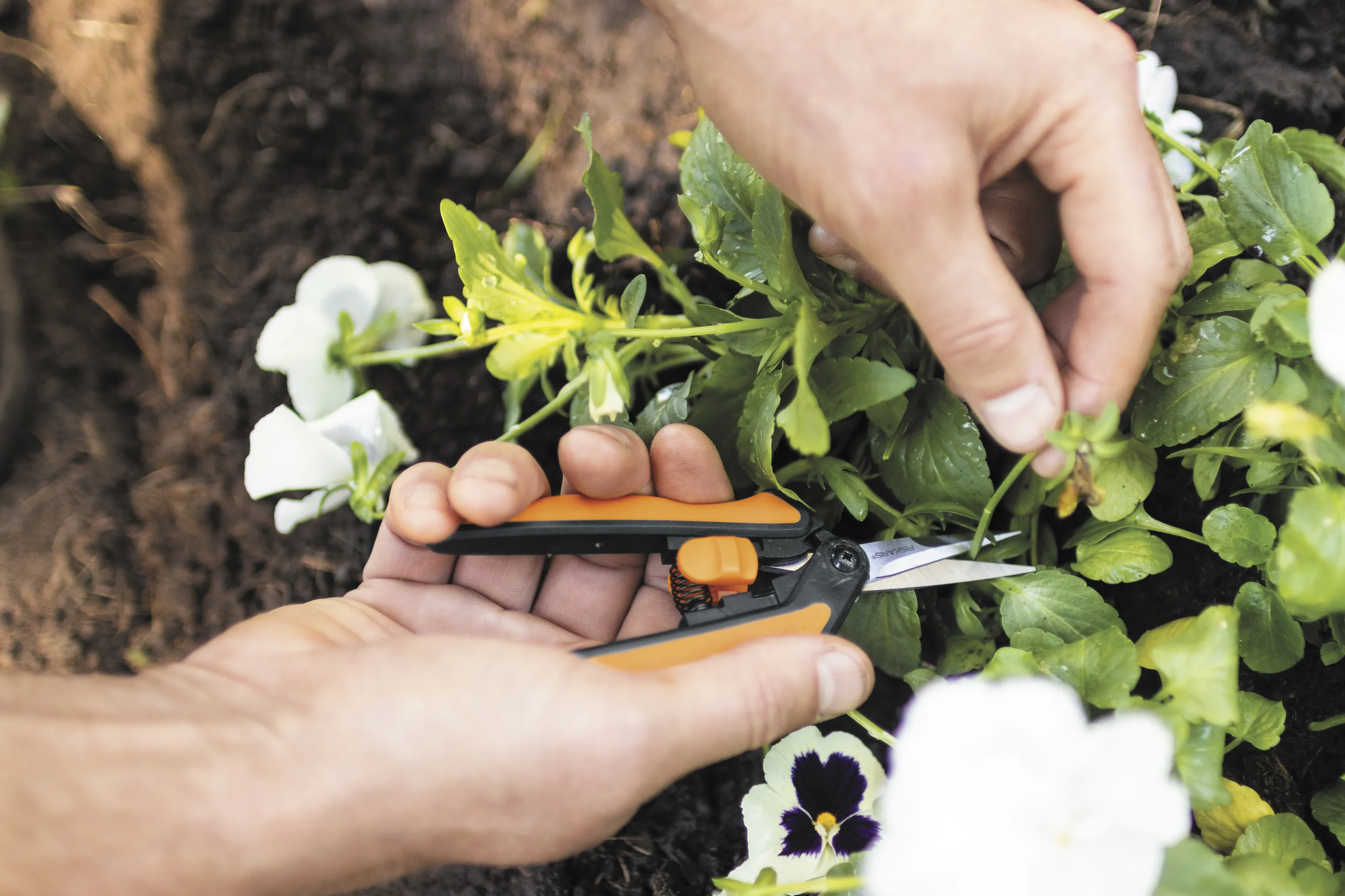 Fiskars Garden Solid Beskæresaks