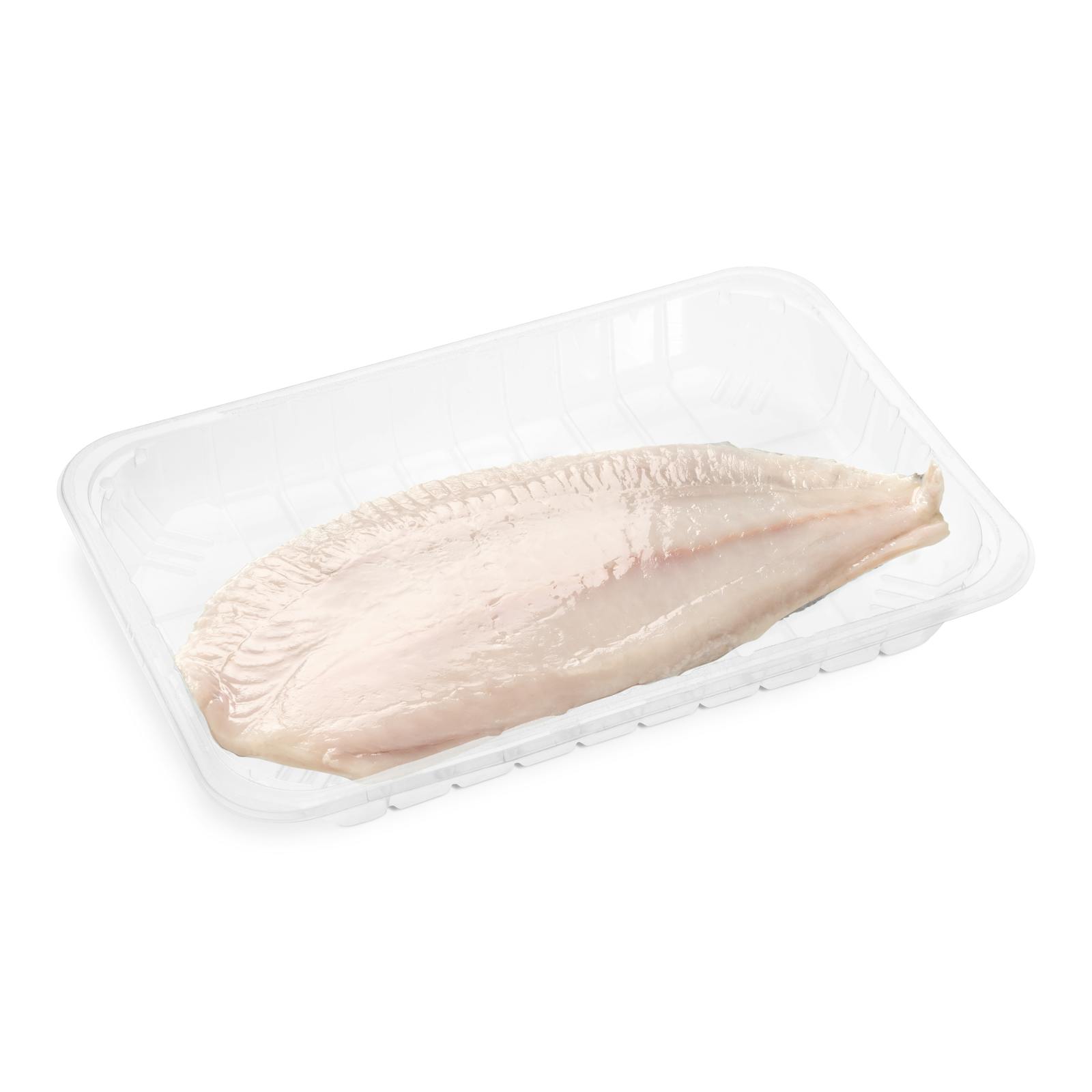 Filet de turbot