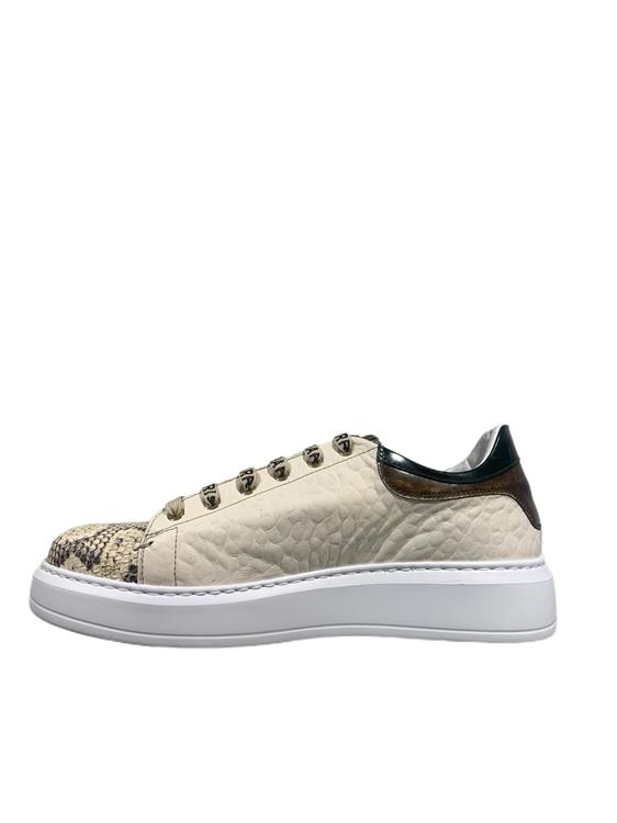 Harris Paul/25 Pitone Roccia Opaco