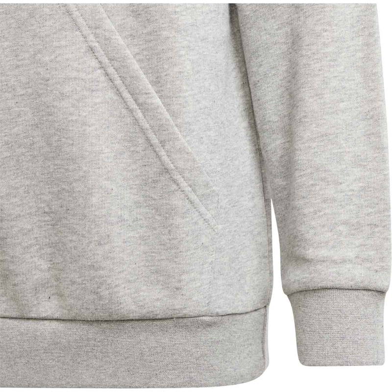 adidas Big Logo 2 Hættetrøje Børn