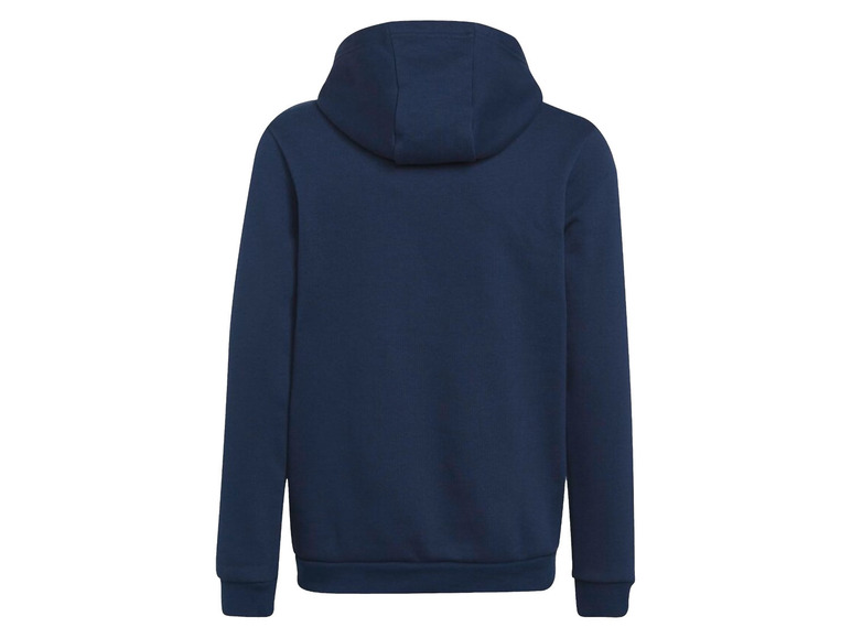 Hoodie Entrada 22