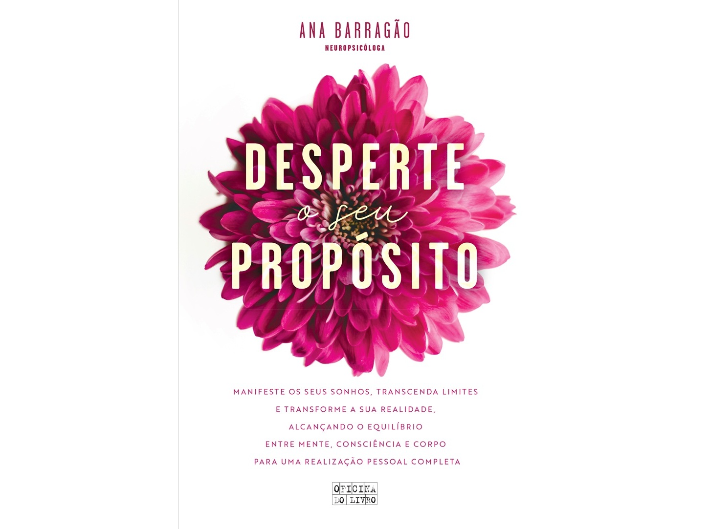 LIVRO DESPERTE O SEU PROPÓSITO DE ANA BARRAGÃO