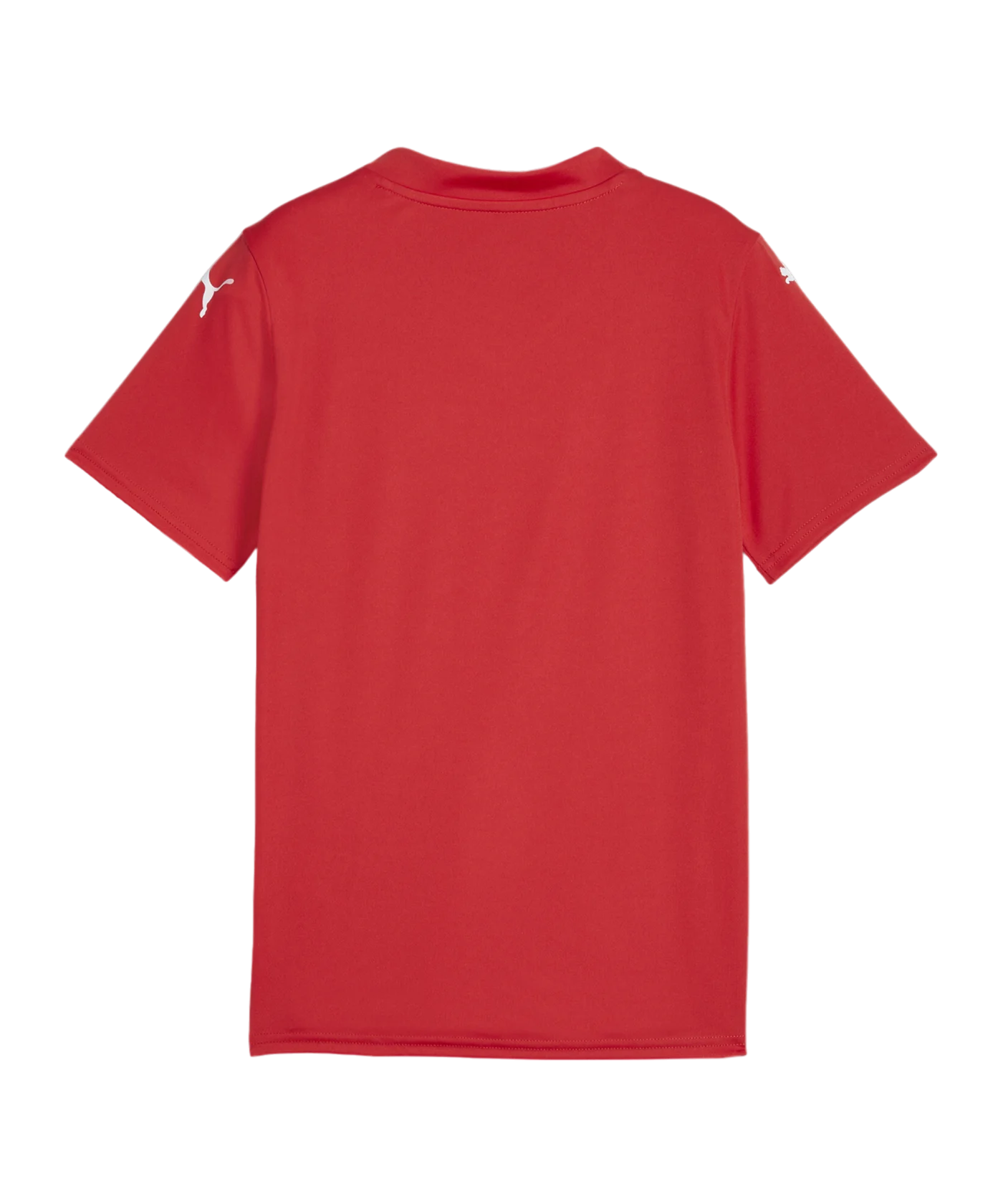 PUMA teamGLORY Trikot Kids Rot Weiss Rot F01
