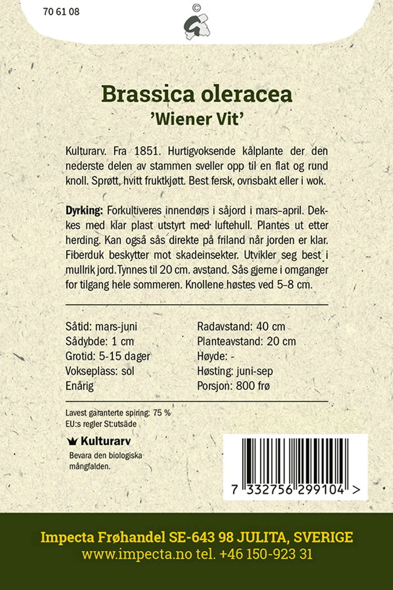 Brassica oleracea 'Wiener Vit' Knutekål 'Wiener Vit'