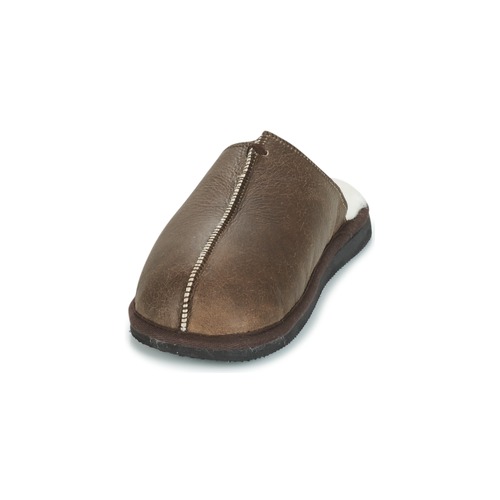 Shepherd - HUGO - Marron