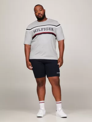 Camiseta Plus Hilfiger Monotype Global Stripe