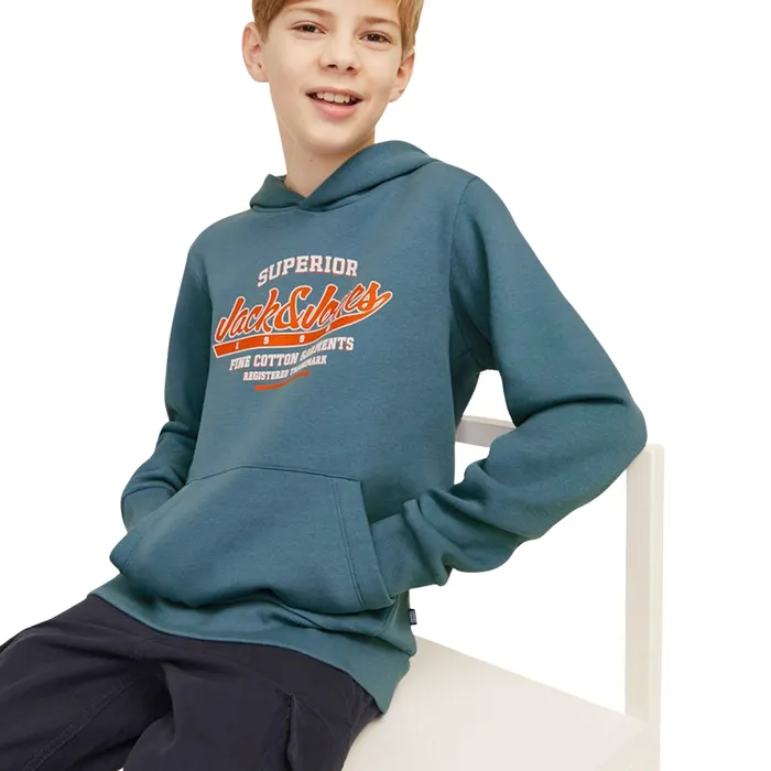 Jack & Jones Logo Hoodie Junior