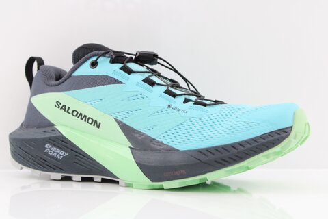 Salomon Sense Ride 5 GTX W