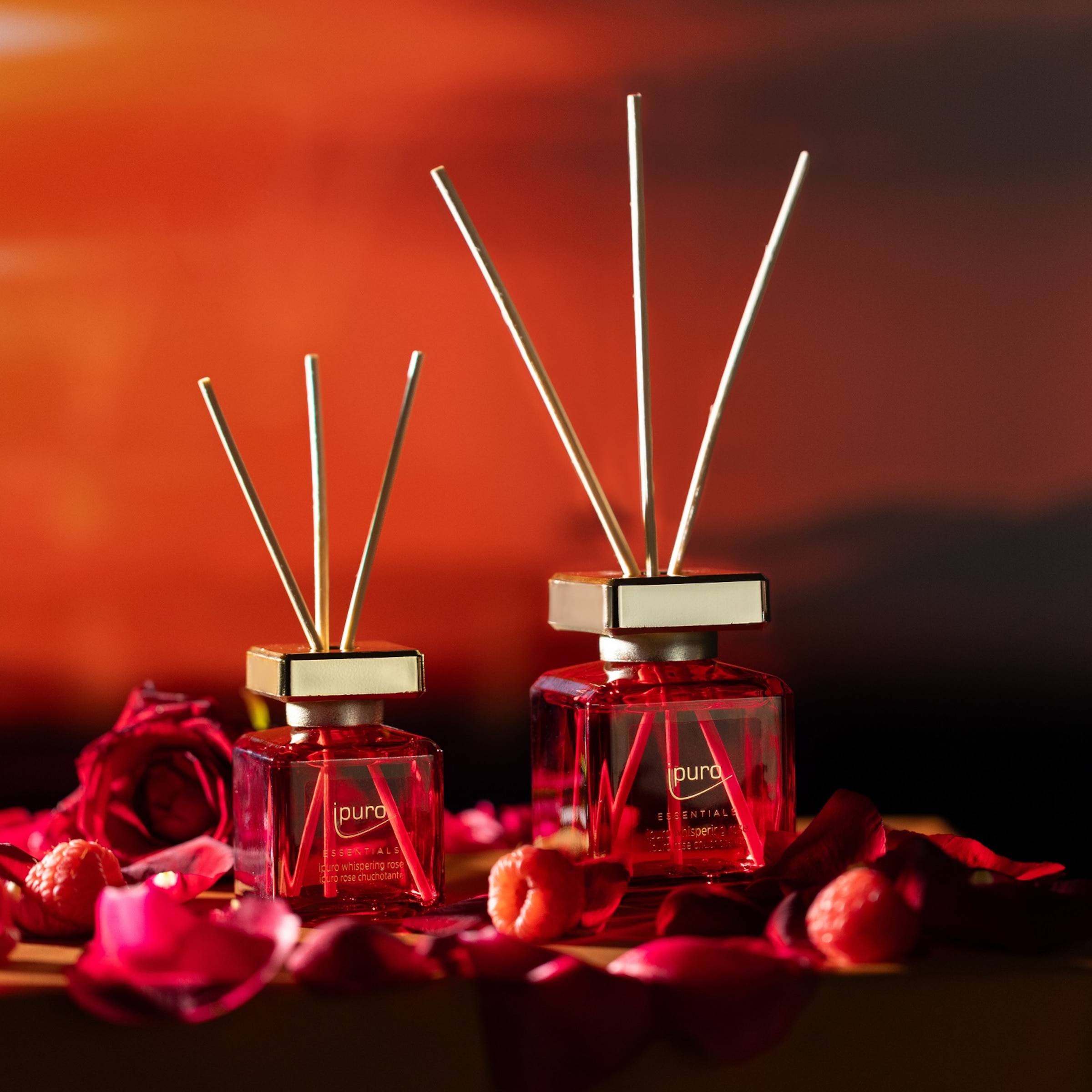 rot, 100 ml